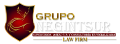 Negintsur Logo